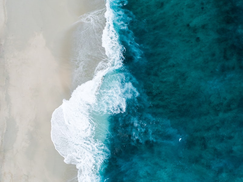 Inside Aqua East Surf Shop