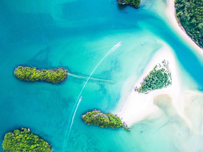 Community Surf Events